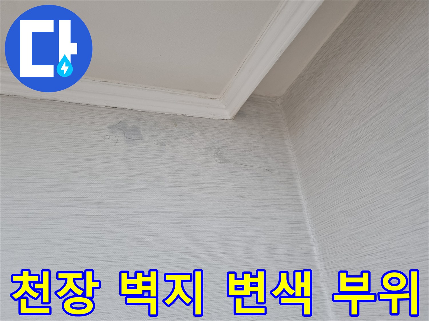 분당 정자동 아파트-천장 벽지 얼룩 및 변색 상태