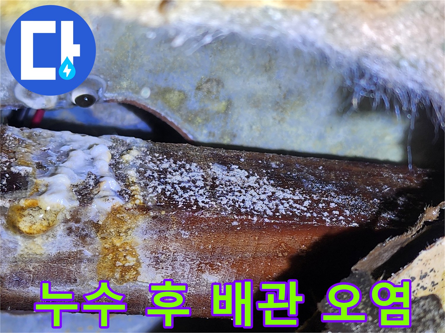천장 내부 구조물-물샘으로 인해 하얗게 변한 배관 주변 마감재