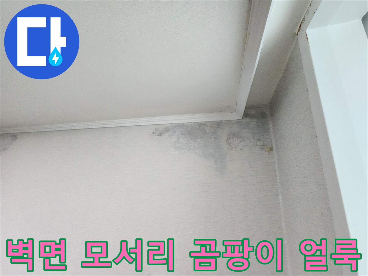 천장 몰딩 아래쪽으로 번져있는 습기와 곰팡이 자국