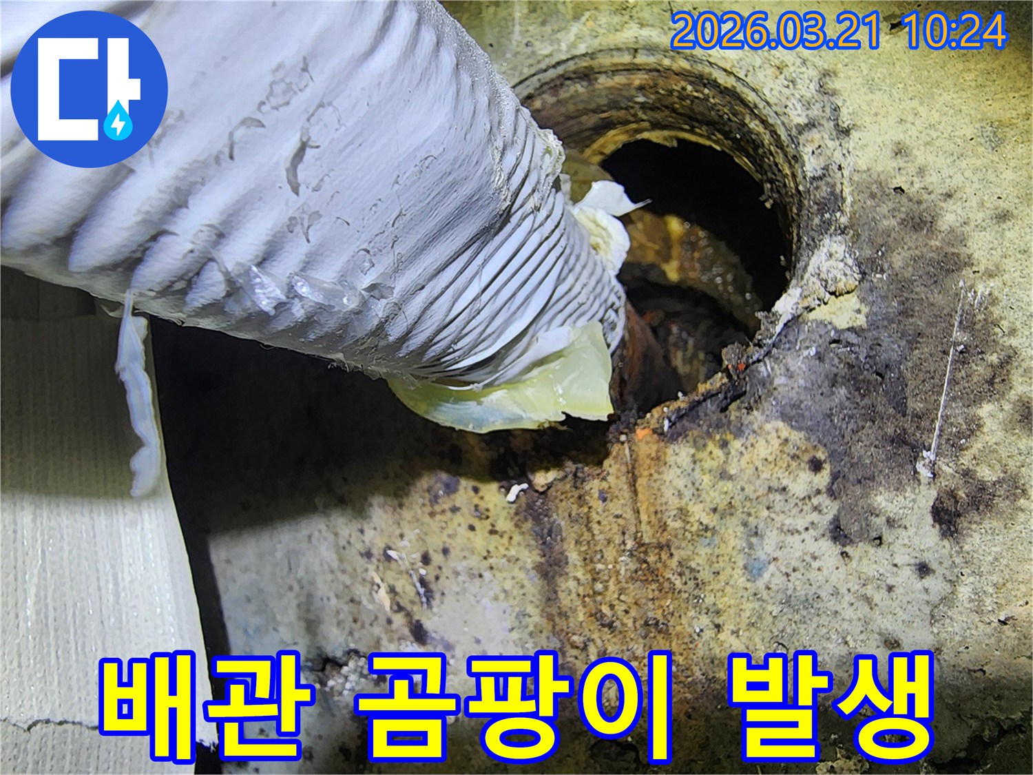 이 이미지는-부식된 배관 주변에-발생한-곰팡이와-습기 흔적을-보여주며-하수구 누수의-심각성을-나타냅니다