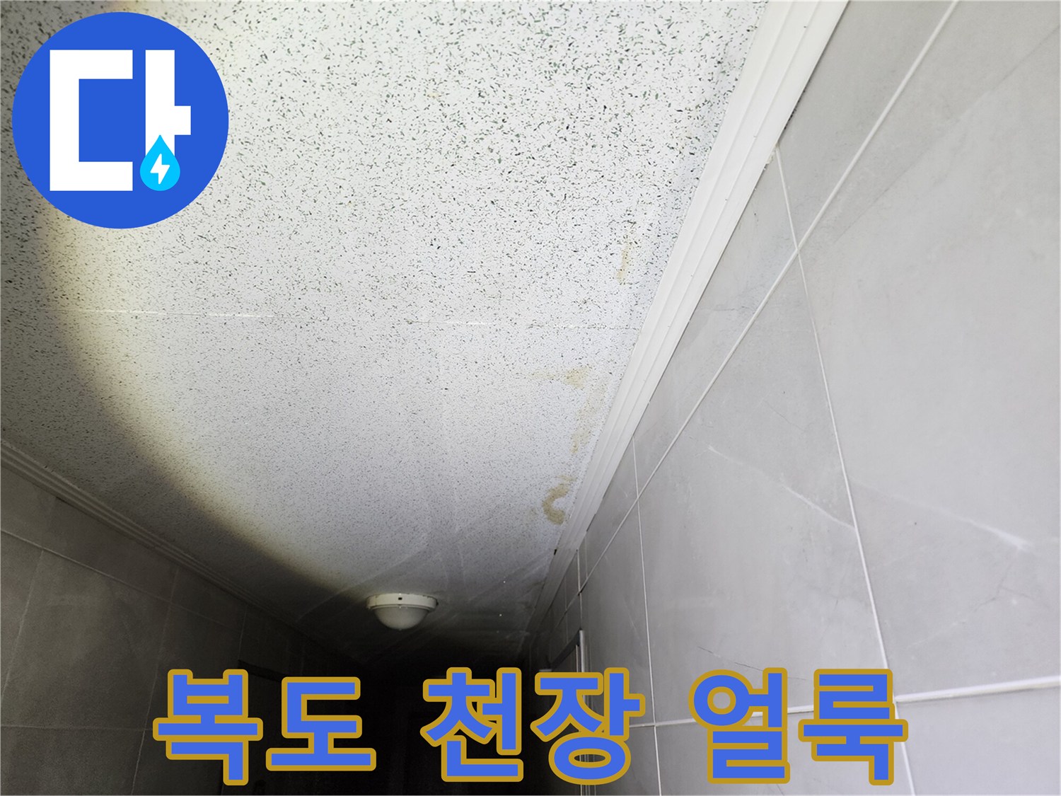 성동구 사근동 복도 천장 부위의 물샘 흔적과 얼룩 상태