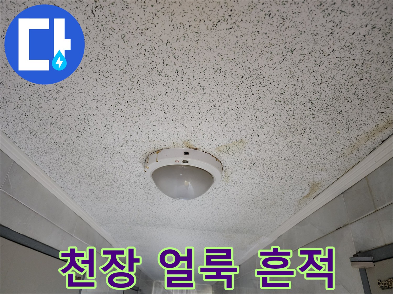 성동구 사근동 복도 천장의 누수 흔적과 얼룩