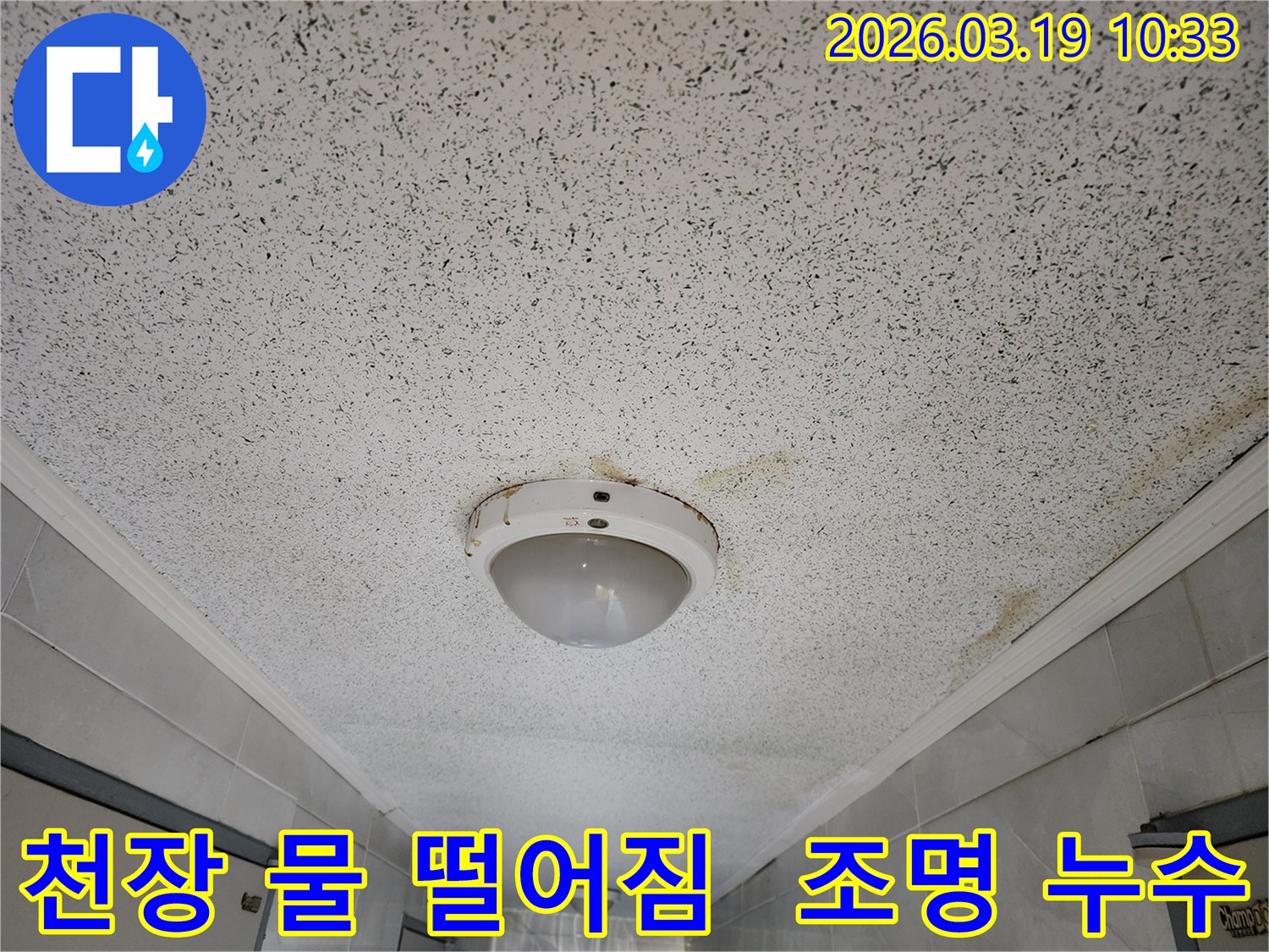 천장 조명 주변에서 물이 새어 얼룩진-누수 피해 현장 이미지