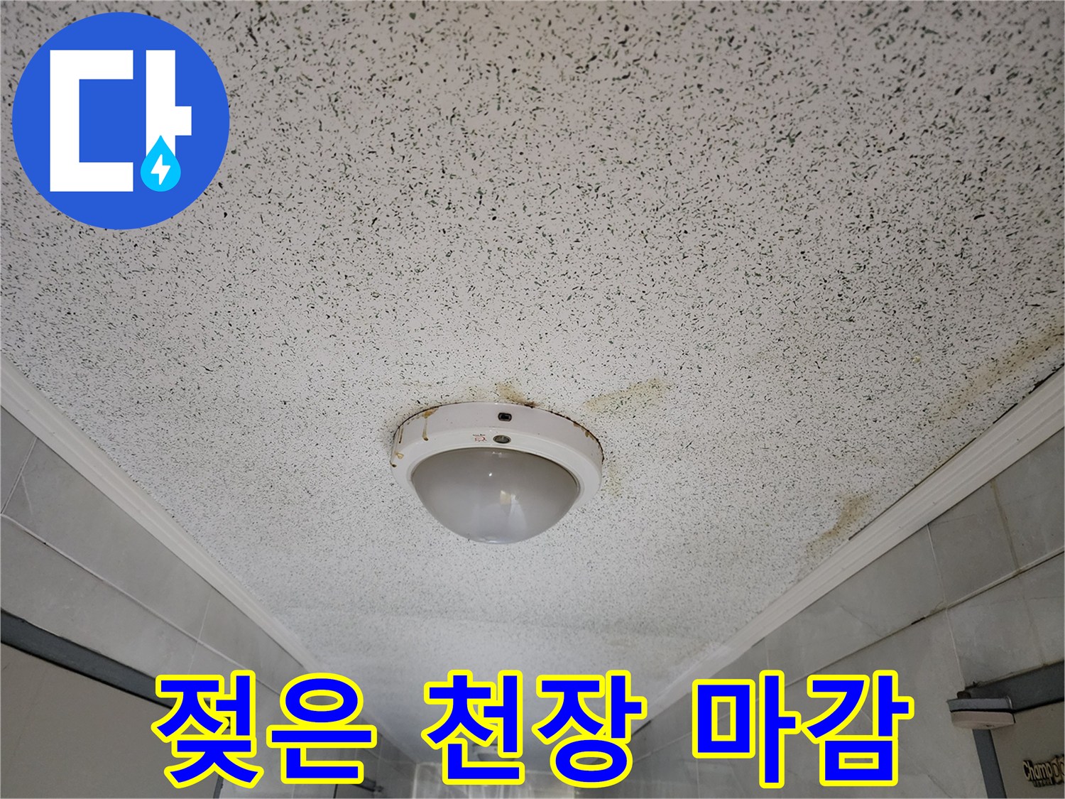 천장 조명 주변의 물샘으로 인한 얼룩진 모습