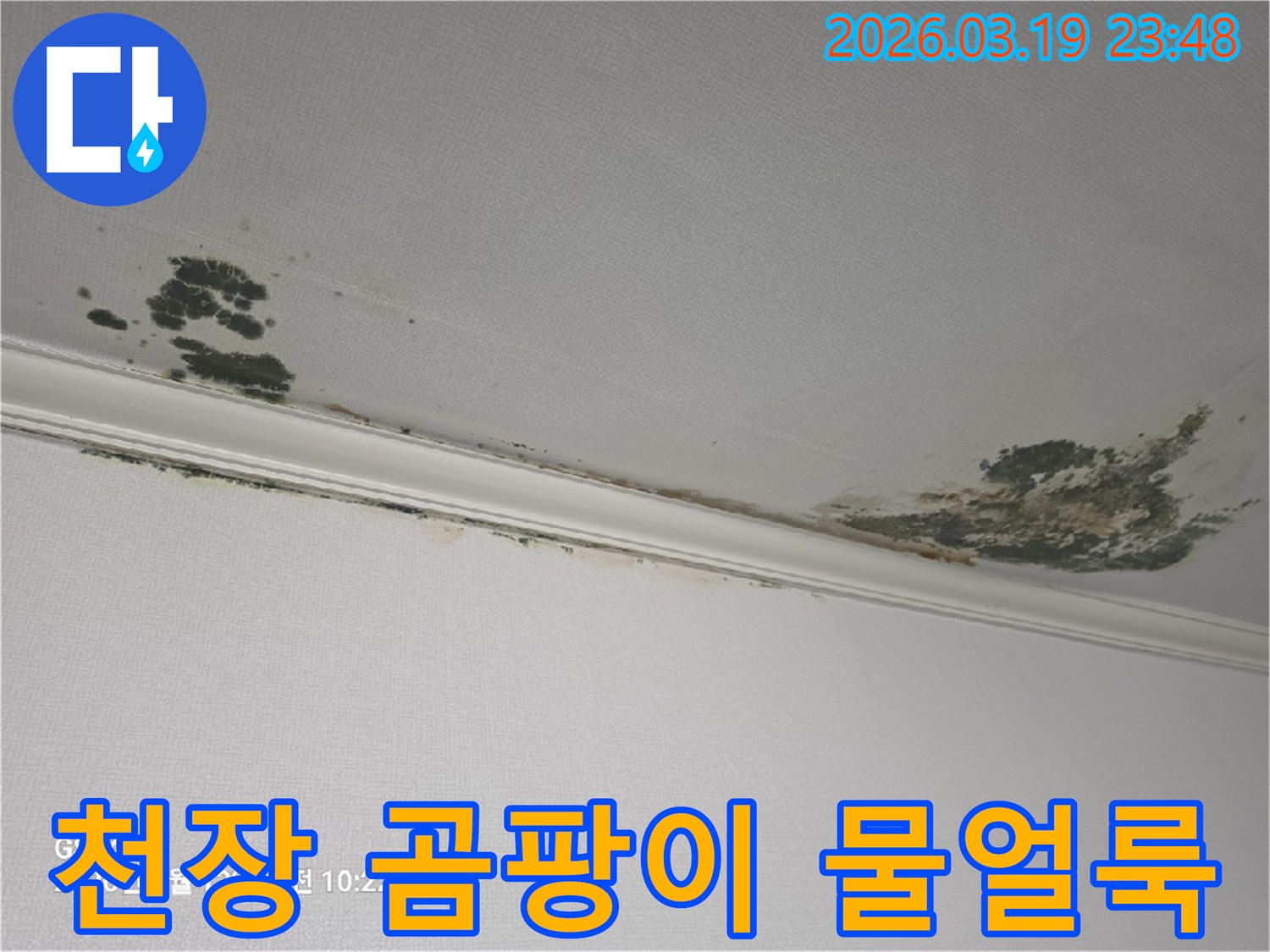 천장-누수-피해-곰팡이와-물얼룩-발생-모습-전문적인-해결이-필요한-상황
