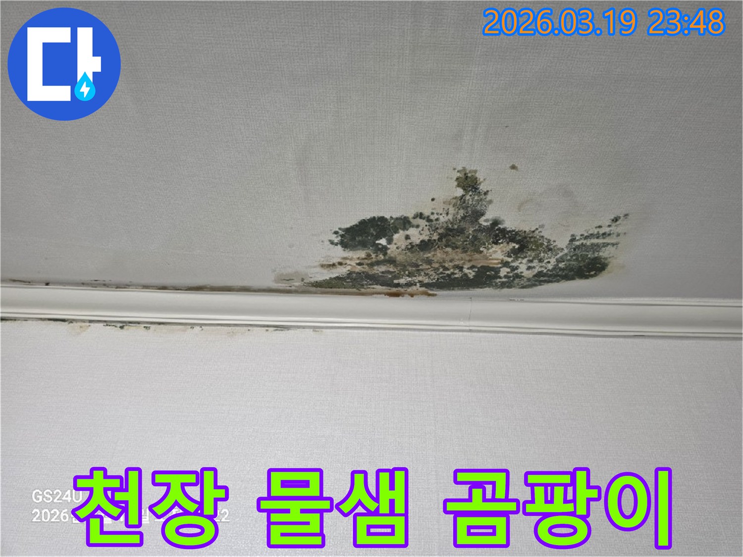 천장-벽지에-검게-번진-곰팡이와-물샘-흔적이-뚜렷한-현장-사진