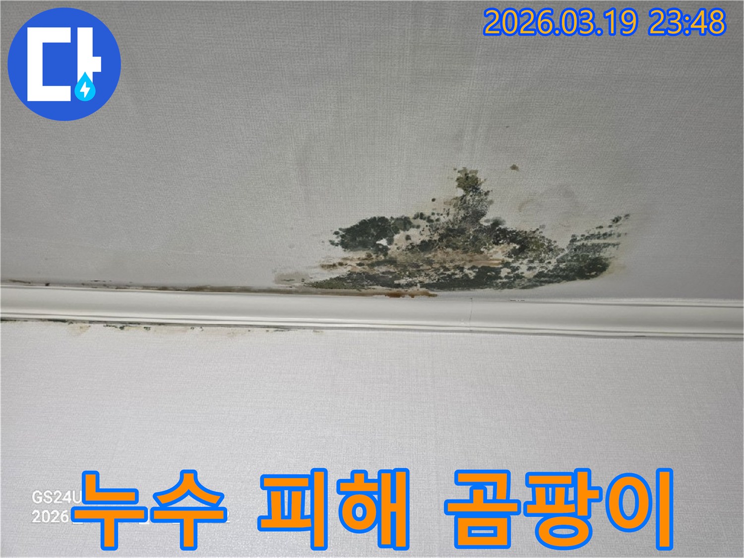 천장-벽지에-발생한-심각한-누수-피해로-인한-곰팡이-오염-상태를-보여주는-사진