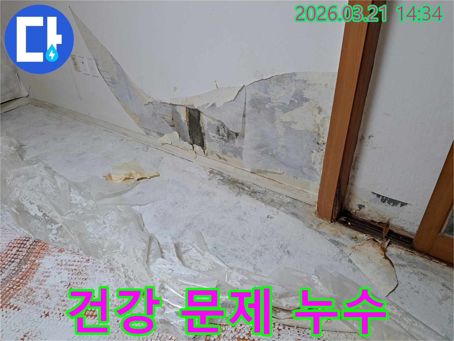누수로-인해-벽지가-손상되고-곰팡이가-번식하여-건강에-악영향을-줄-수-있는-현장