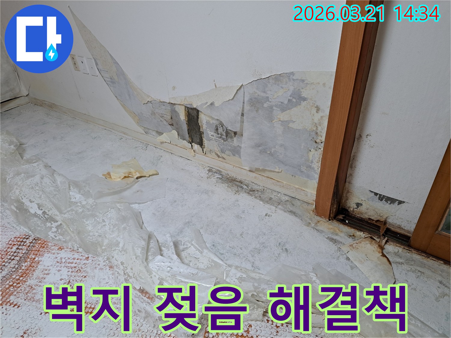 누수로-인해-벽지가-심하게-젖고-손상된-벽면을-해결하기-위한-준비-과정