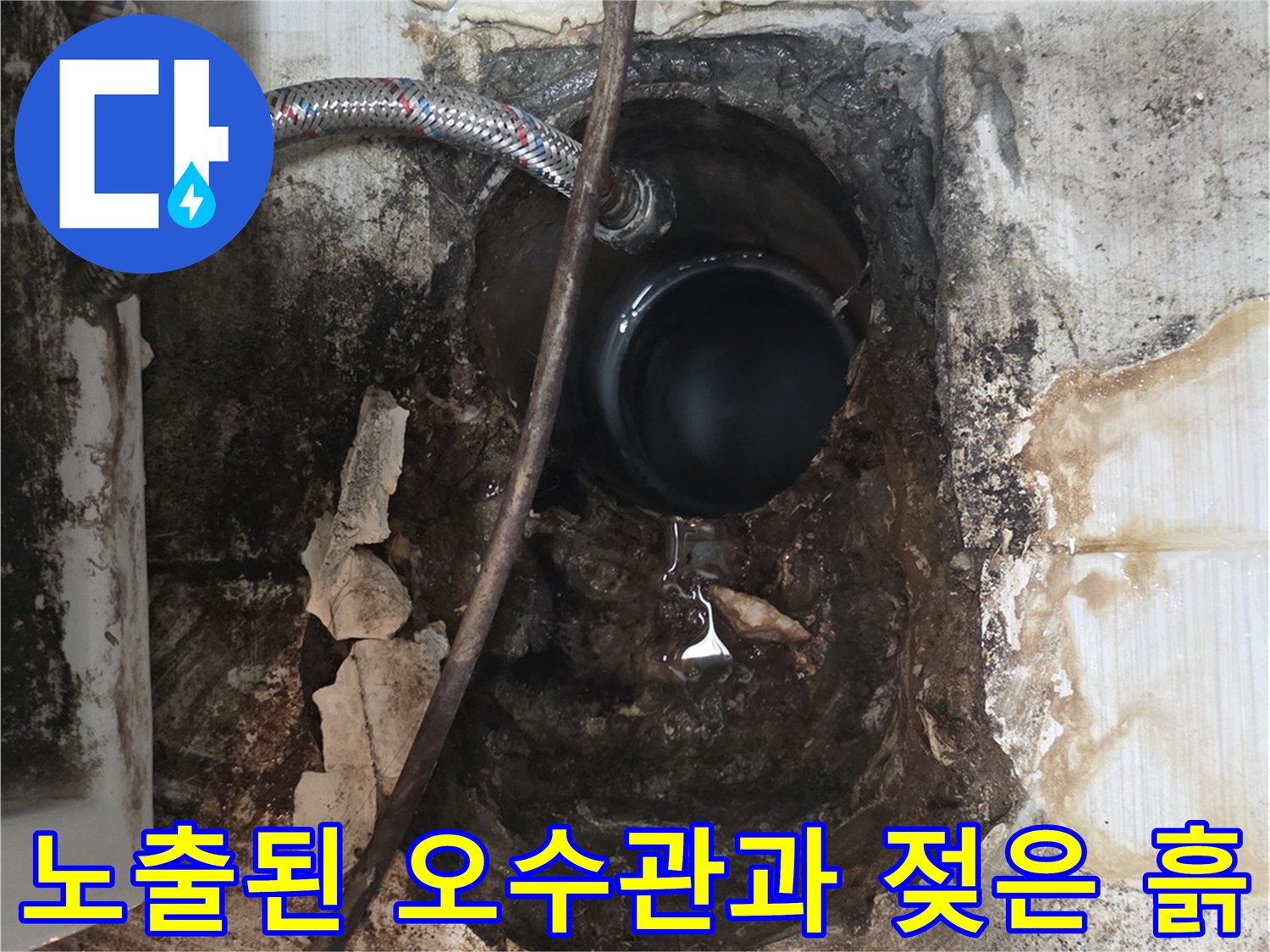 오수관 주변의 습기 가득한 토양 - 누수 지점 확인 완료