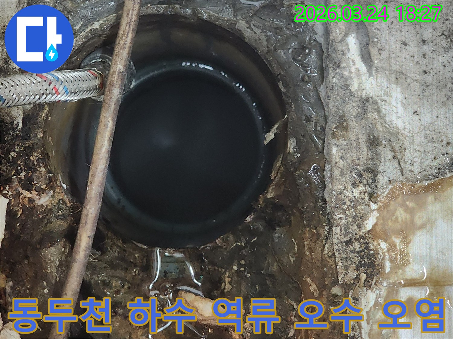 하수구-역류로-인해-오수가-유출되어-주변이-심각하게-오염된-누수-현장을-보여주는-사진입니다