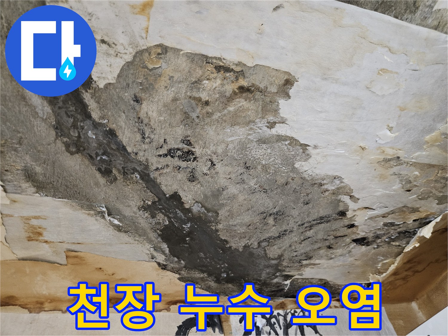 물샘 현상으로 인해-심하게 훼손된 천장 벽지 모습
