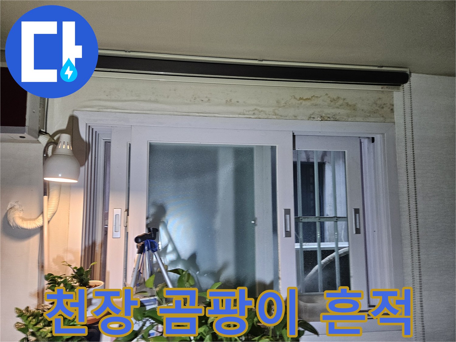 창틀 상단-벽지 곰팡이와 습기 침투 흔적