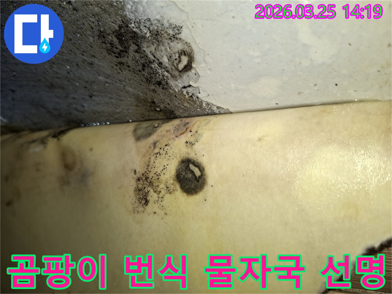 누수 탐지 전-벽면과 천장의 경계에 보이는 곰팡이와 물자국-오염 상태입니다.