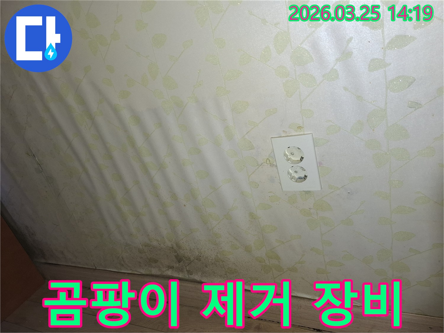 벽지 곰팡이와 누수 탐지를 위한-최첨단 전문 장비를 소개하는 이미지