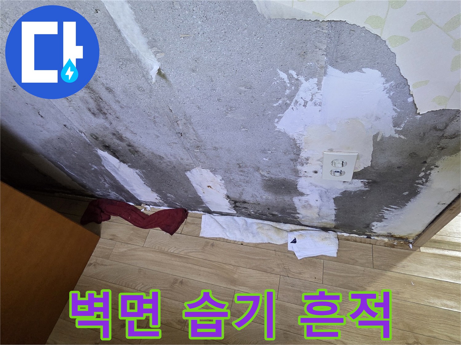 젖어 있는 콘크리트 면-누수 탐지를 위한 벽체 노출