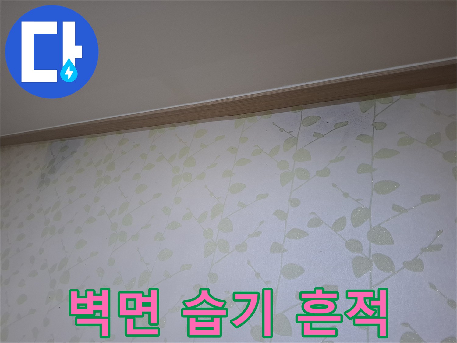 천장 몰딩 부근의 젖은 벽지 패턴 및 얼룩 상태