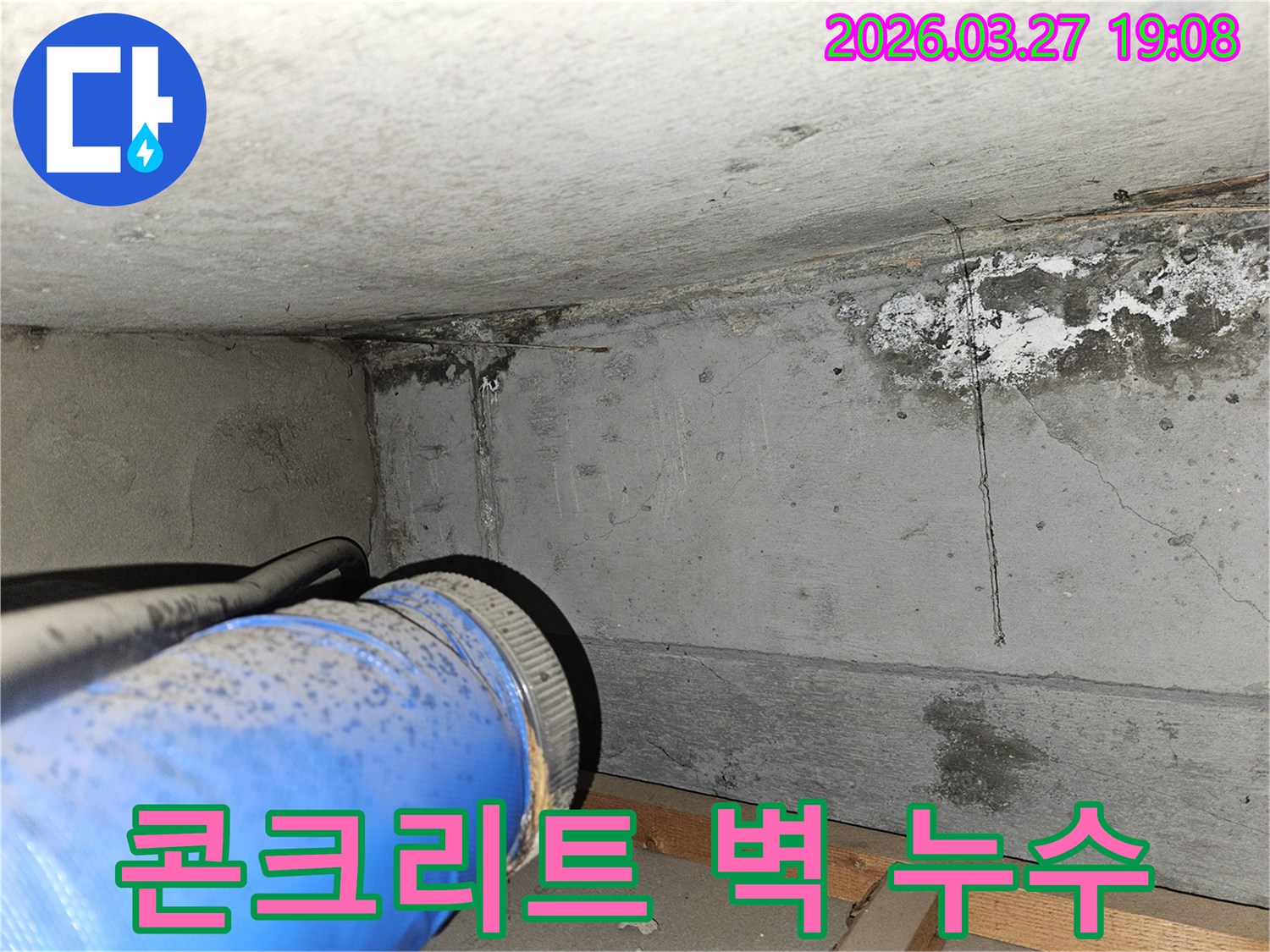 지하-콘크리트-벽면에서-발견된-누수-흔적과-습기-현장을-촬영한-사진입니다