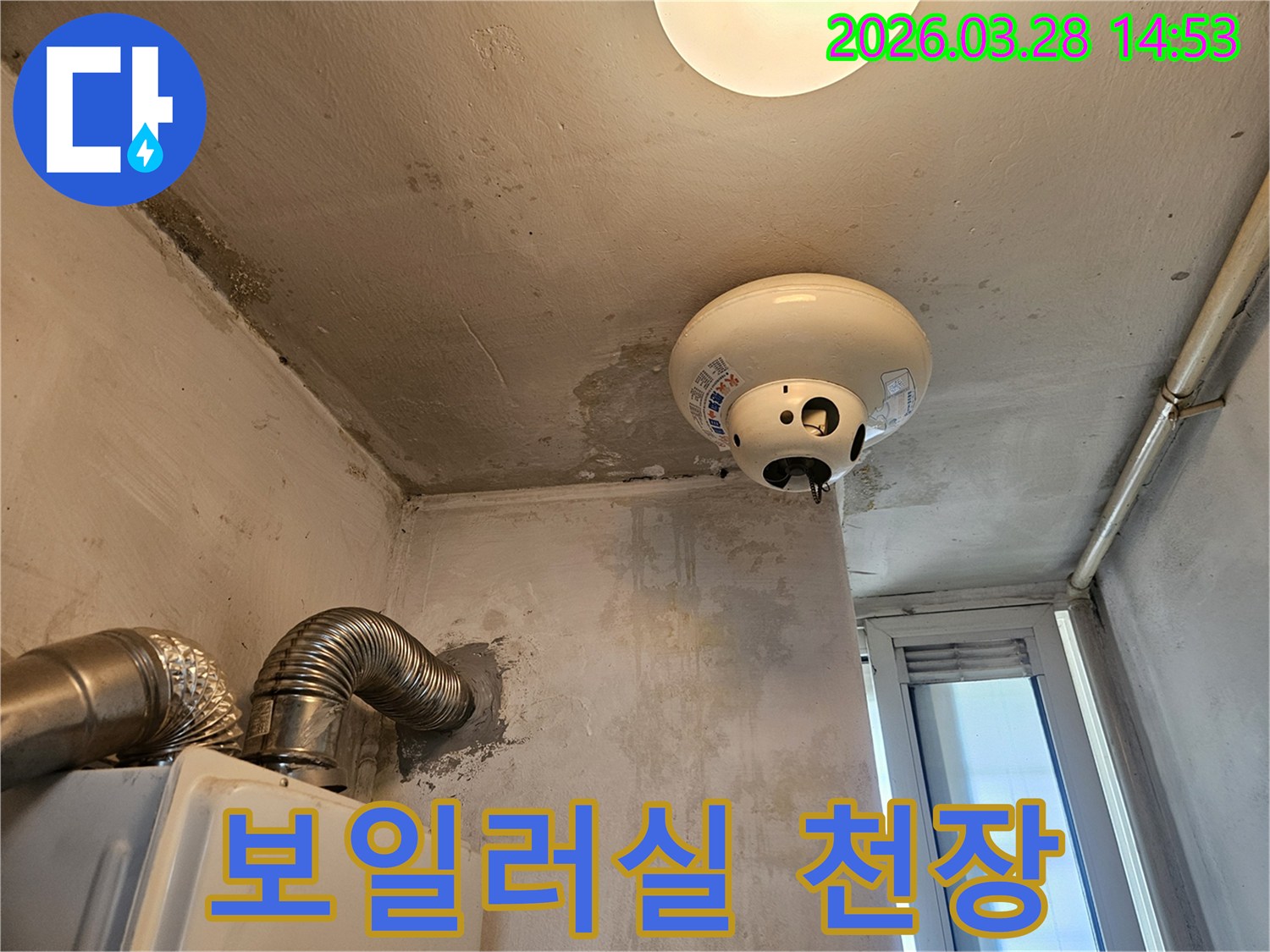 보일러실 천장에 발생한 누수를 최신 누수 탐지기로 정밀하게 진단해야 하는 현장입니다.