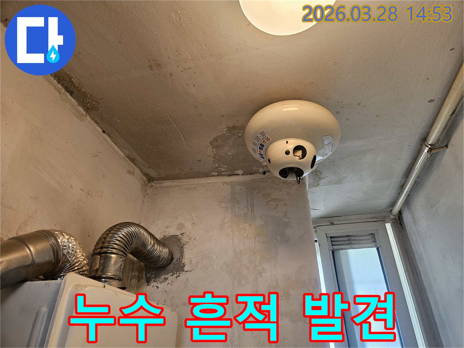 천장 얼룩과 곰팡이로 인해 지저분해진 보일러실의 누수 흔적을 발견한 모습입니다.