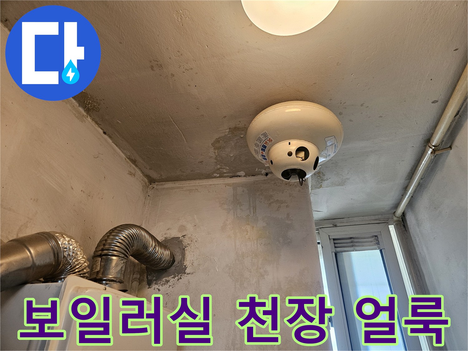포천 일동면-보일러실 천장 전등 주변의 습기와 오염 흔적