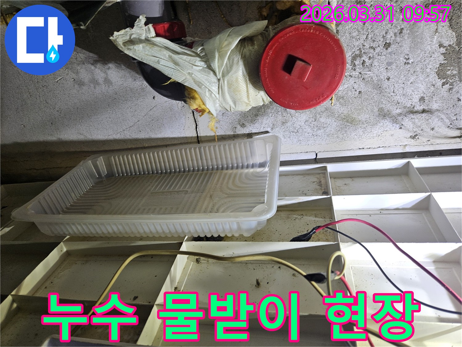 누수-발생-현장에서-물방울을-받아내고-있는-플라스틱-용기와-주변-배관-점검