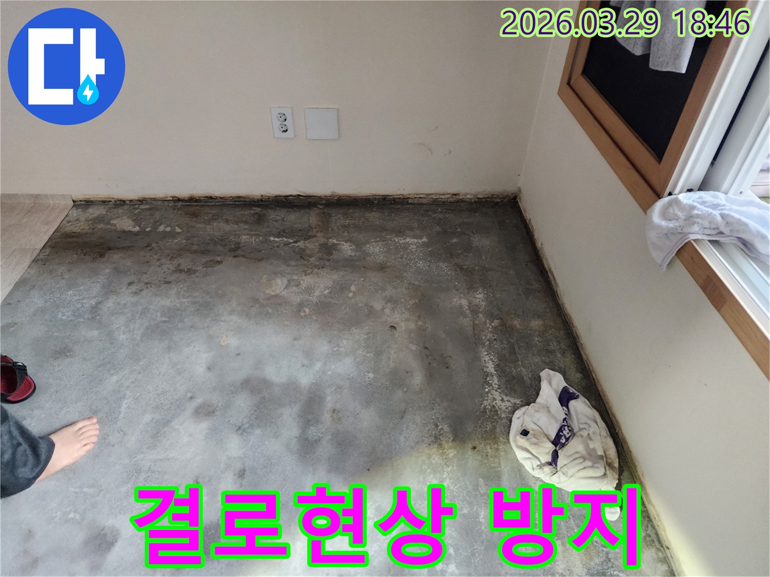 이 이미지는-남양주 오남읍의 한 건물에서-바닥과 벽면 경계에-습기와 곰팡이가 발생한-누수 현장을-보여주며-결로 현상 가능성을-시사합니다
