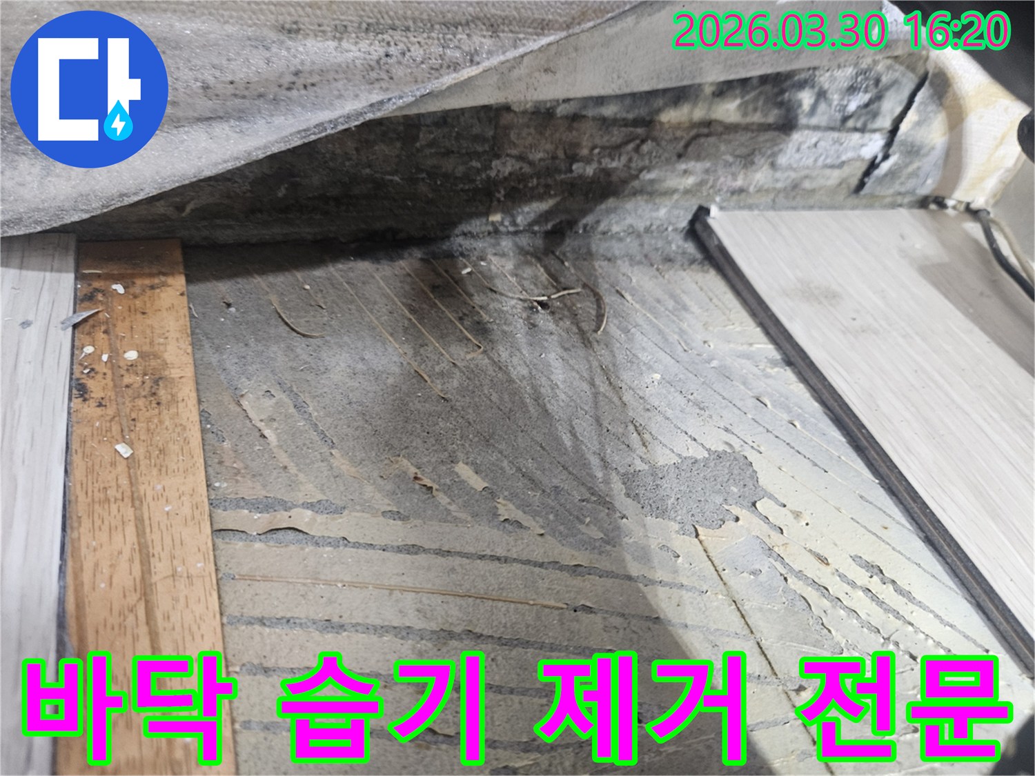 누수-탐지를-위해-바닥-마감재를-제거한-후-드러난-젖은-콘크리트-하부-구조를-보여주며-습기-제거-전문-과정을-설명하는-사진