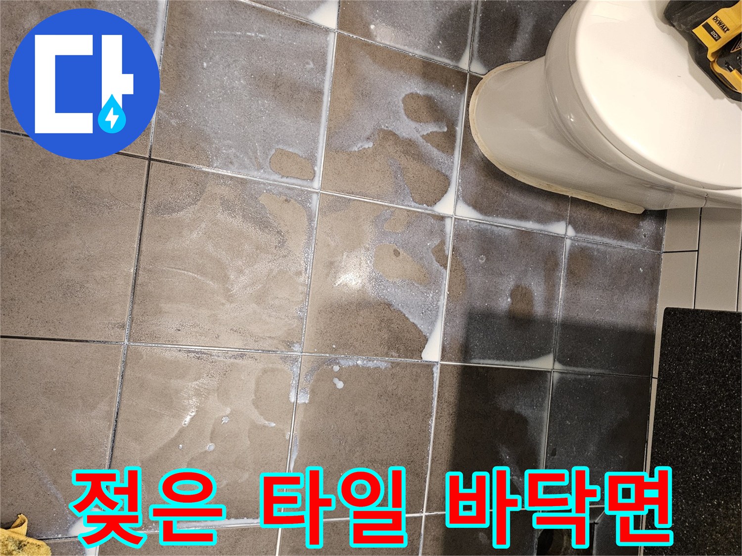 하수구 주변에-습기가-차있는-욕실-타일