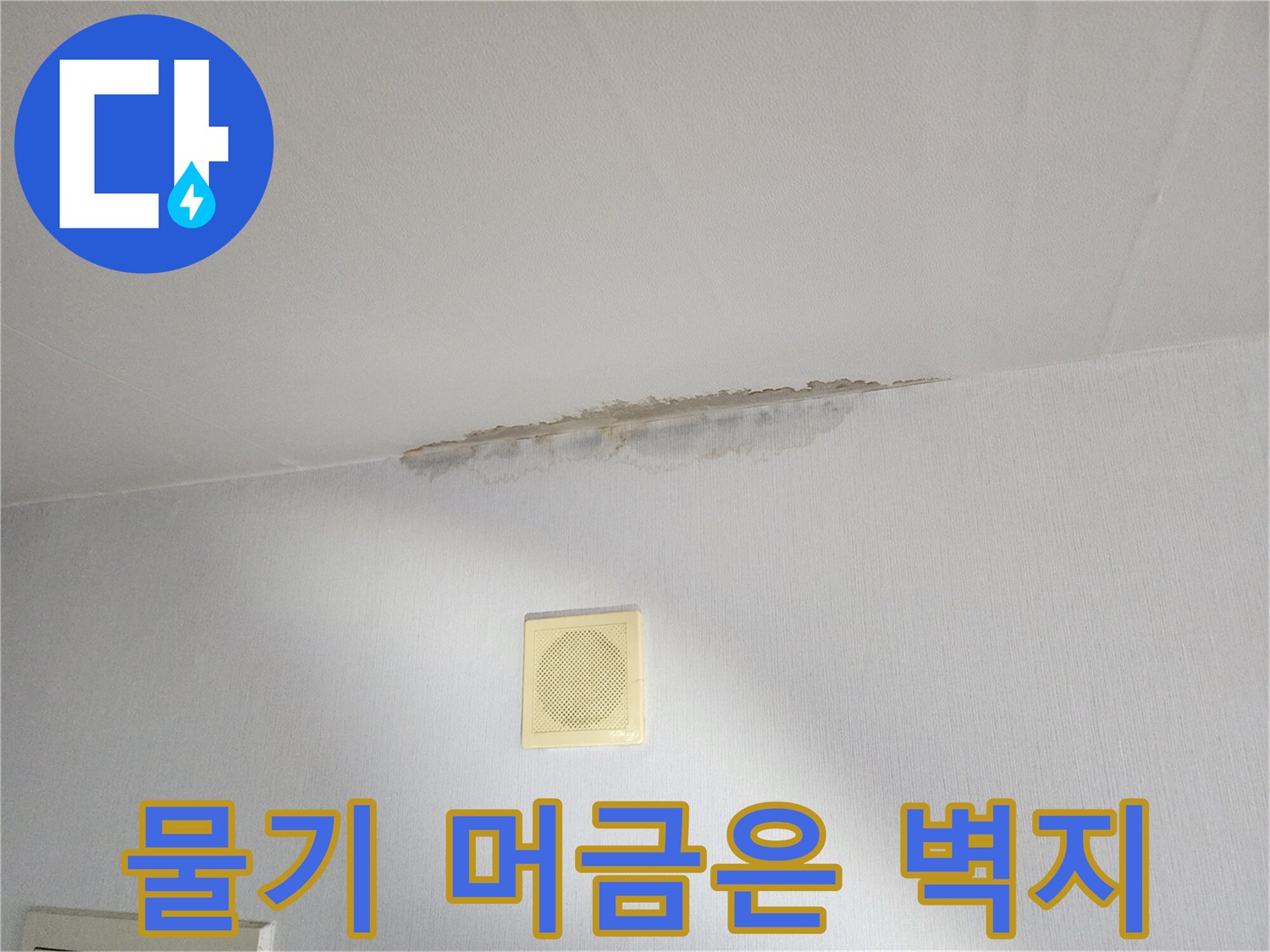 천장 근처 벽지가 젖어 어둡게 변한 모습