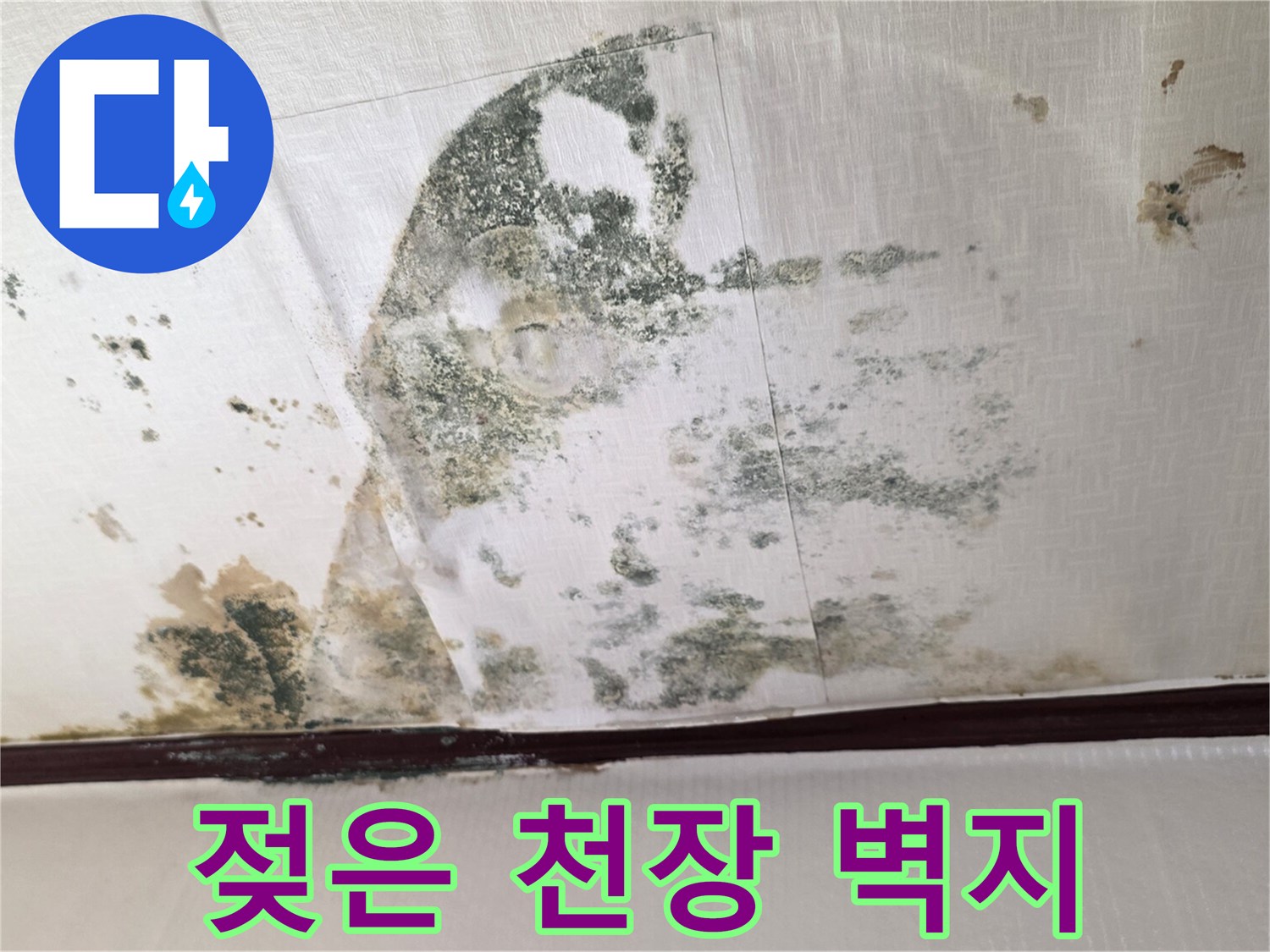 습기로 인해 부풀어 오르고 곰팡이가 발생한 천장 벽지