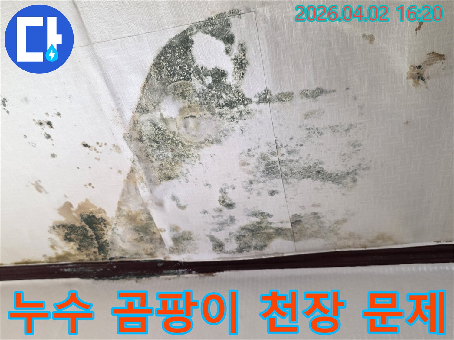 천장-표면에-짙게-자리잡은-누수-곰팡이와-물얼룩을-보여주는-사진입니다