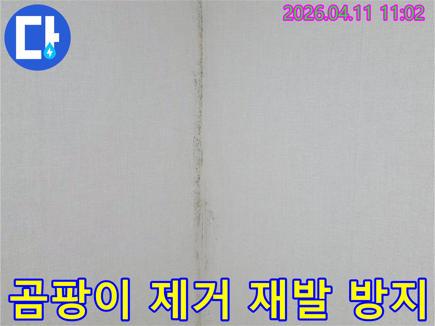 천장과-벽면-경계에-발생한-누수-흔적과-곰팡이-오염을-보여주는-사진입니다.