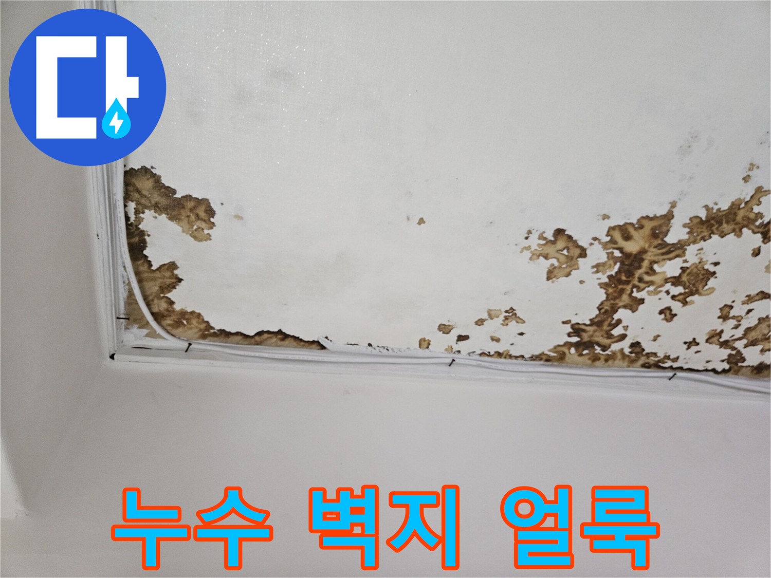 천장 누수-벽지 오염 및 얼룩 부위