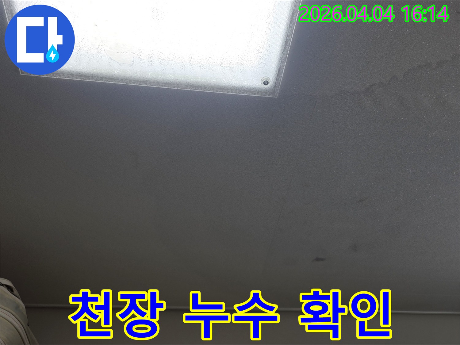 천장 조명 주변에 나타난 물 자국과 곰팡이는-누수가 발생했음을 명확히 확인시켜 줍니다.