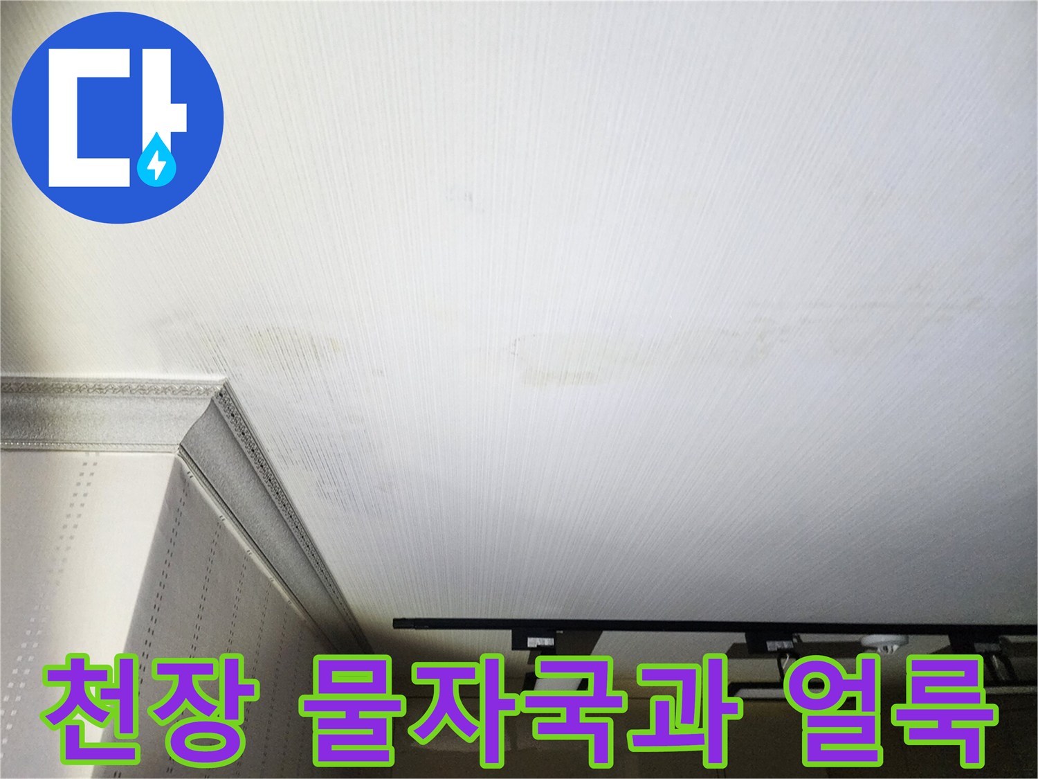 거실-천장-벽지에-발생한-광범위한-물자국-및-습기-상태