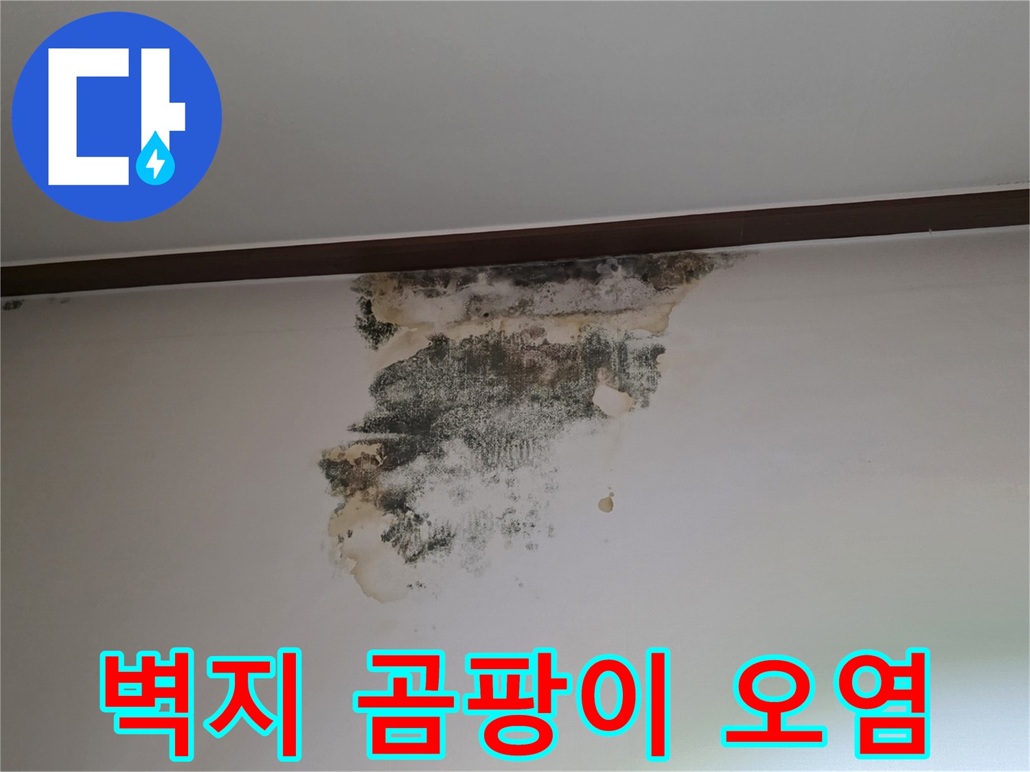 누수 발생 부위의 벽지 변색 및 곰팡이 증상