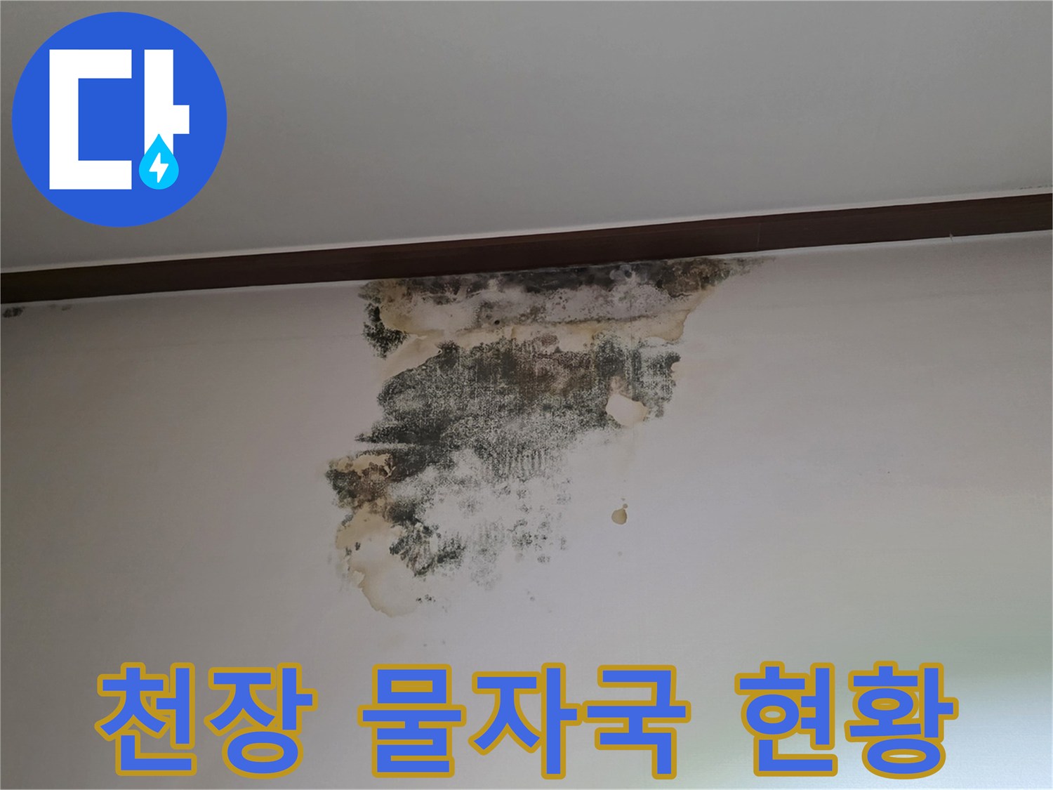 누수 진행으로 인해 발생한 천장 벽지의 변색과 곰팡이