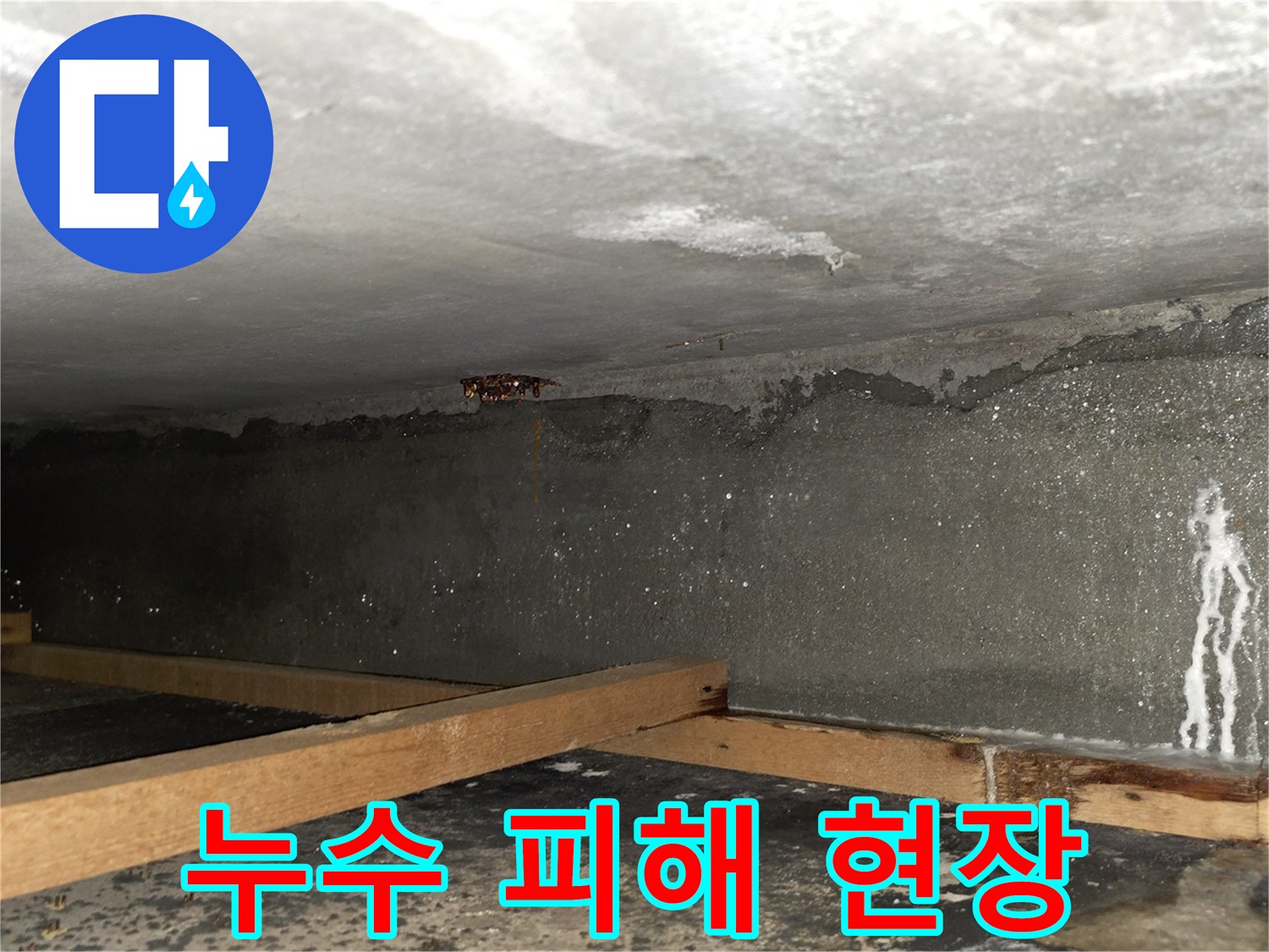 물샘으로 인해 젖어 있는 천장 구조물 내부