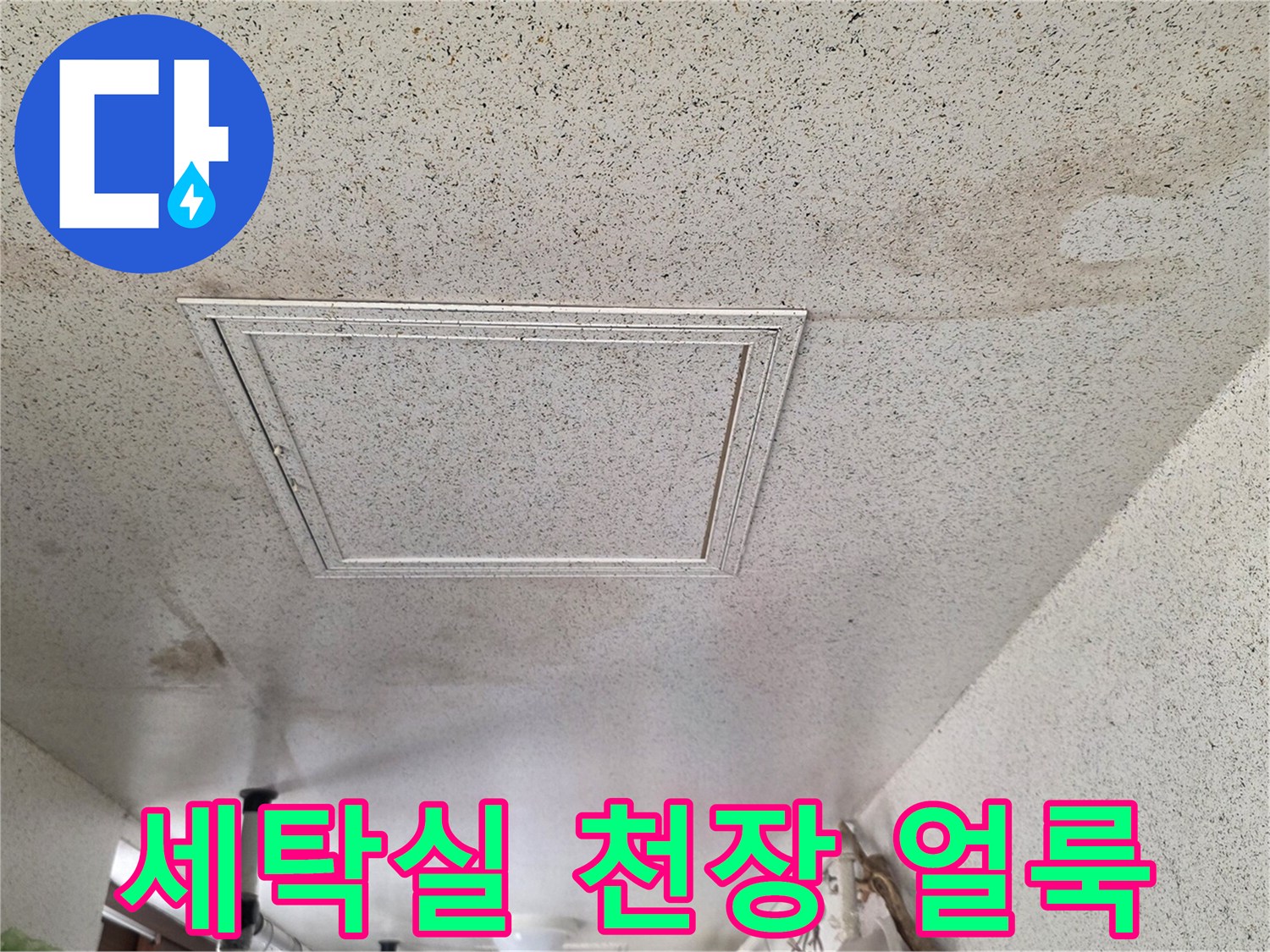 성남 중원구 세탁실 천장 점검구 주변의 누수 흔적과 젖은 자국