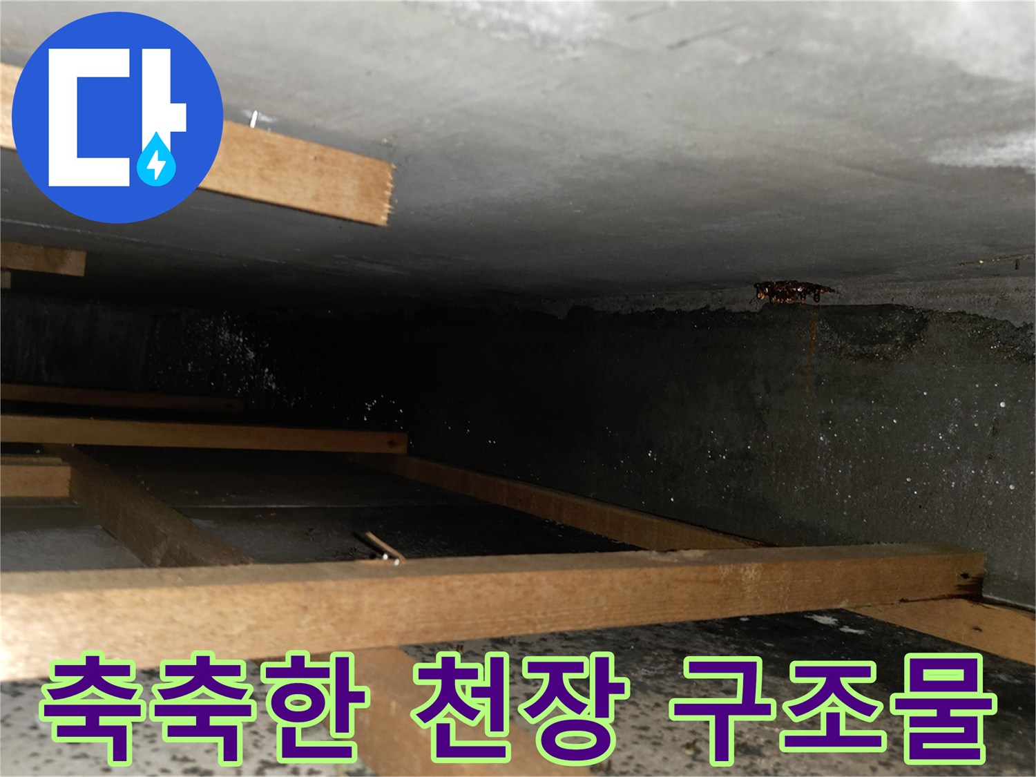 습기로 인해 눅눅해진-천장 내부 목재와 콘크리트