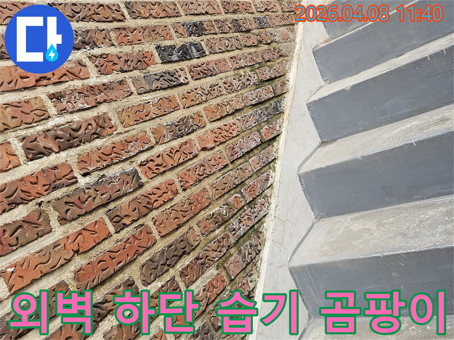 송파구 현장의-오래된 건물 외벽-하단부에서 발견된-습기와 곰팡이 징후를-보여주는 사진입니다