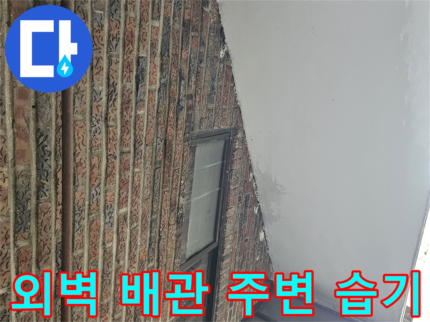 적벽돌 외벽을 따라 설치된 배관과 그 주변의 습한 상태를 촬영하였습니다.