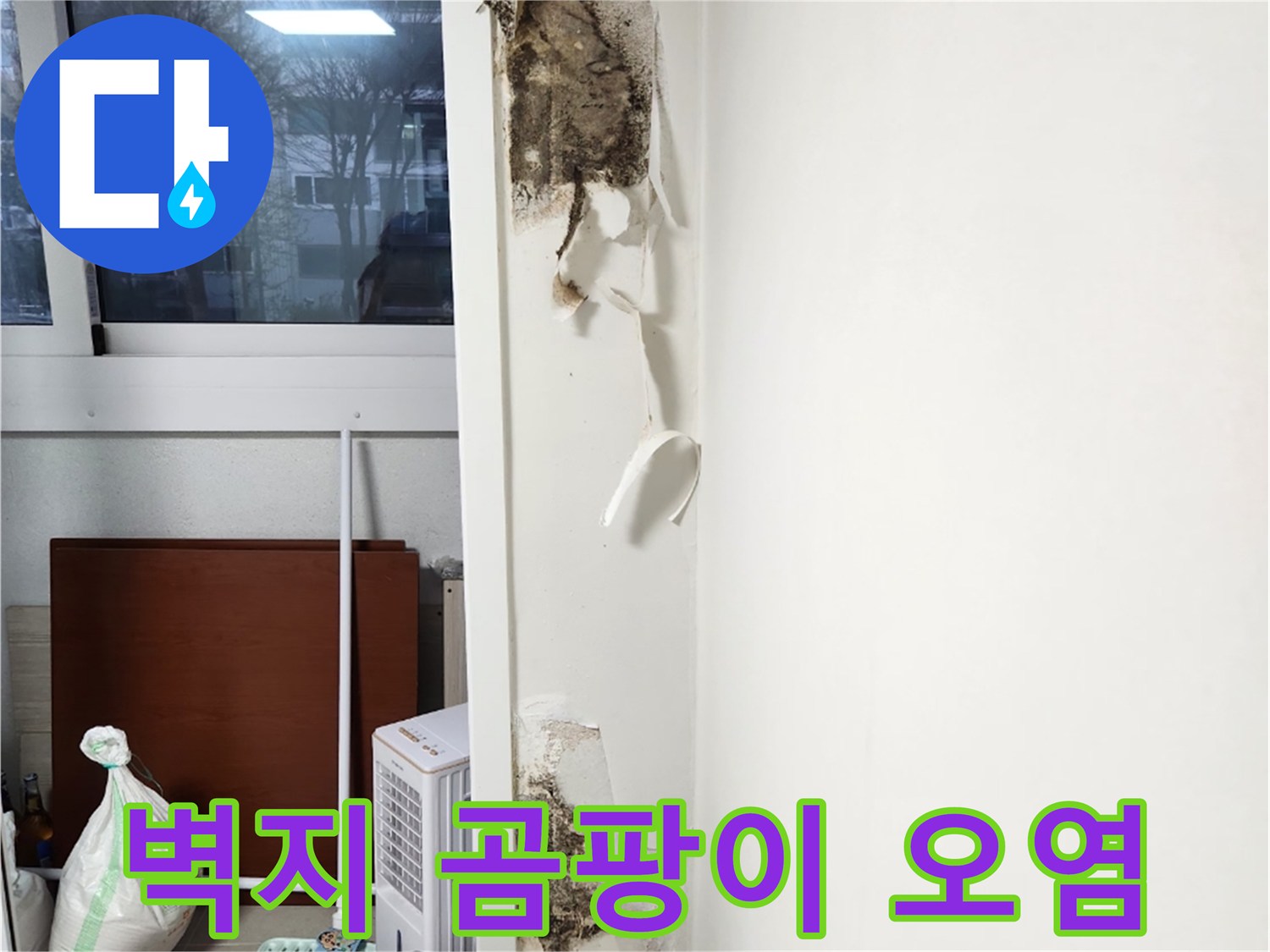 강서구 아파트 거실 벽면의 심각한 곰팡이 오염 상태