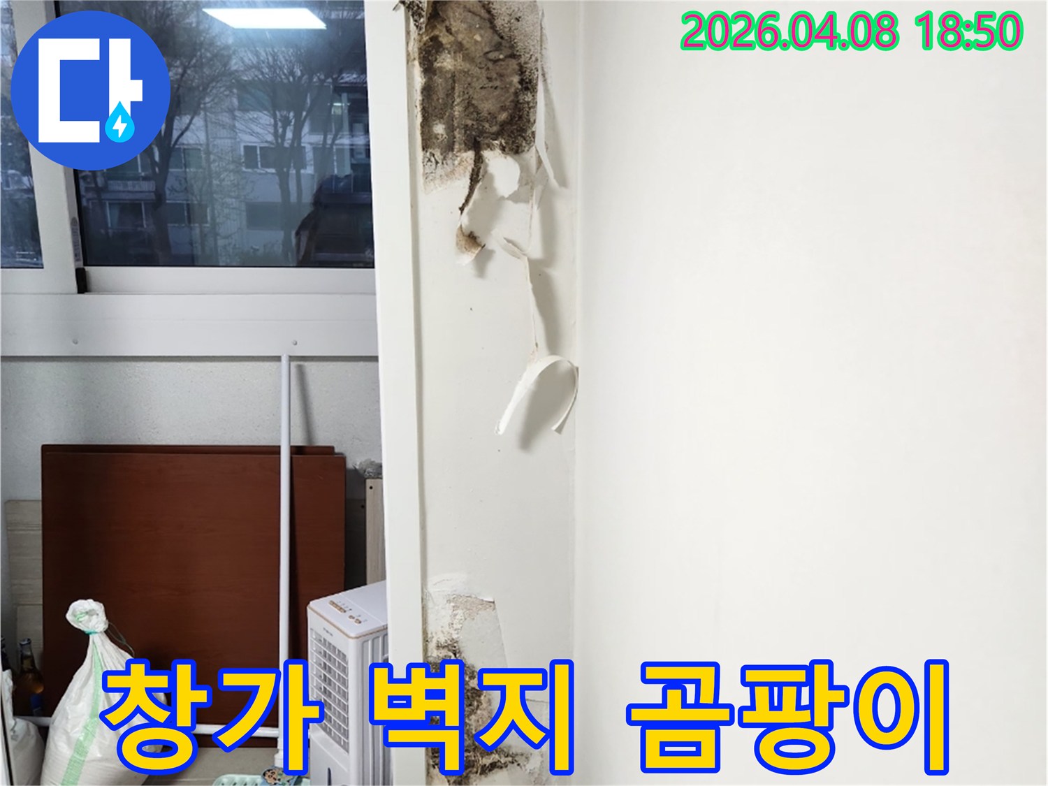 창문-아래-벽면에서-발견된-벽지-손상과-함께-심각하게-번식한-곰팡이의-모습을-담은-누수-현장-사진입니다