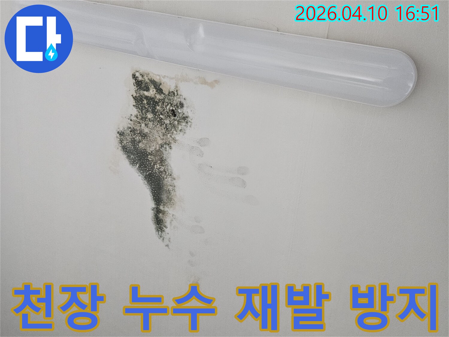 천장 형광등 주변에 나타난 누수와 곰팡이 흔적을 보여주는 사진-정밀한 진단이 필요한 상황입니다