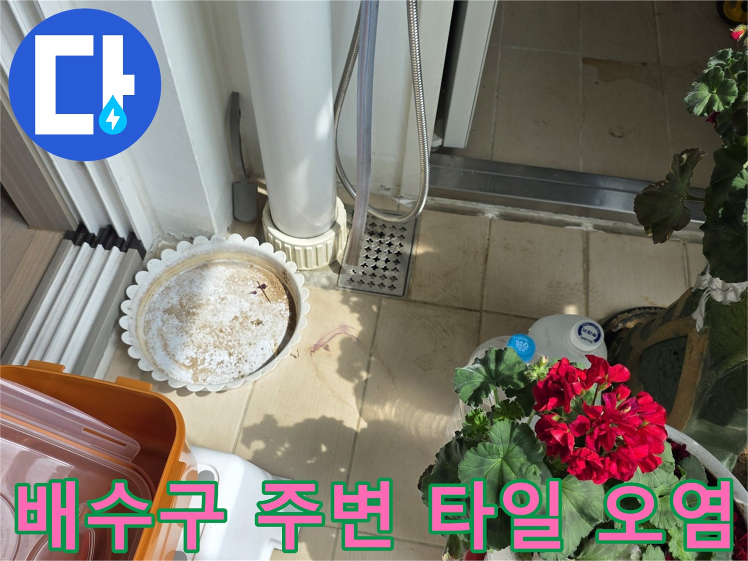 화장실-배수구-주변의-축축한-타일-표면-상태