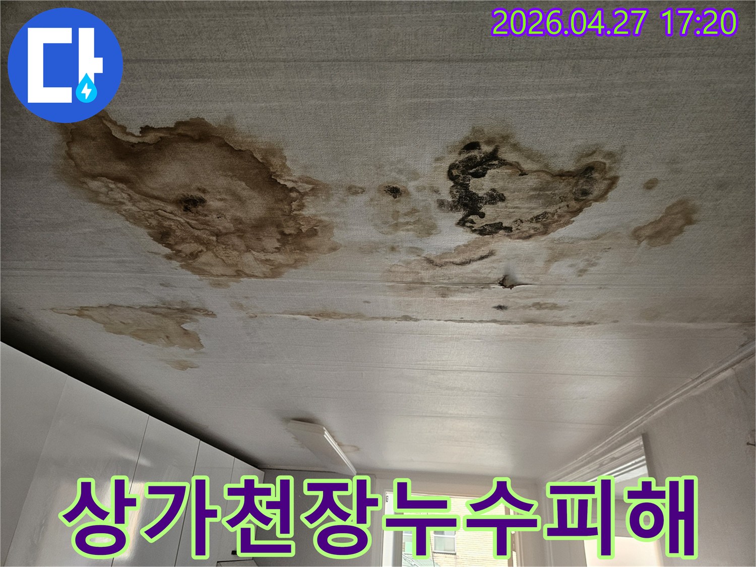 상가 천장에-광범위하게 퍼진 누수 얼룩과-습기로 인한 변색-영업에 지장을 줄 수 있는-심각한 누수 현장
