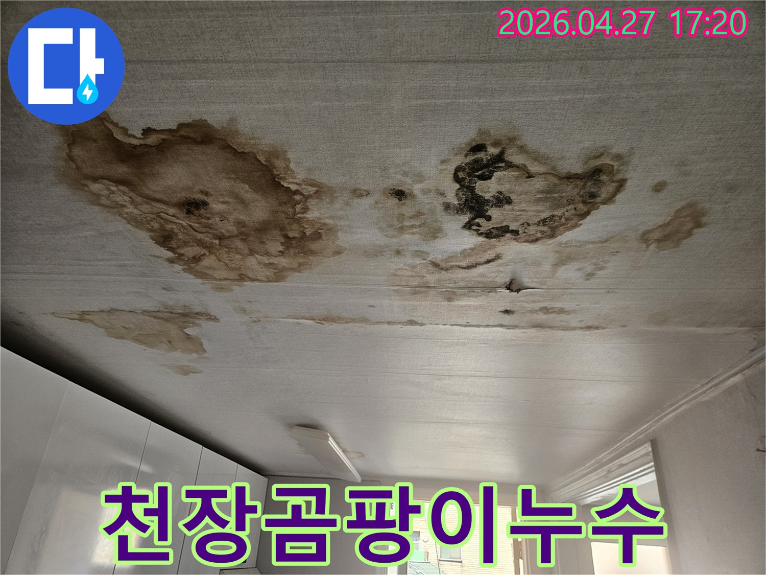 천장 표면에-광범위하게 퍼진 물 얼룩과-검은 곰팡이-오랜 누수로 인한-심각한 내부 손상을 시사합니다