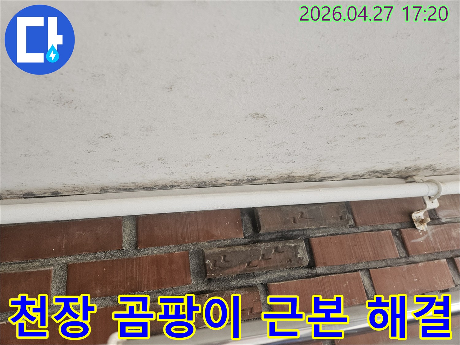 천장과 벽의 경계에 생긴 검은 곰팡이와-누수 흔적이 보이는 현장 사진입니다.